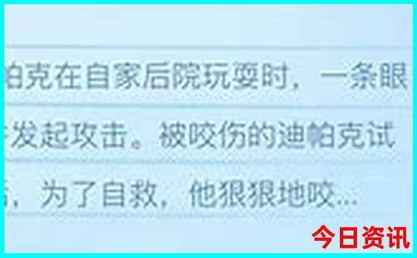重庆带娃游必须去的几个景点